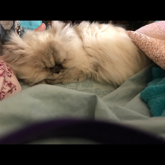 Meet your Posher, Colleen anderson - Picture 9 of 16